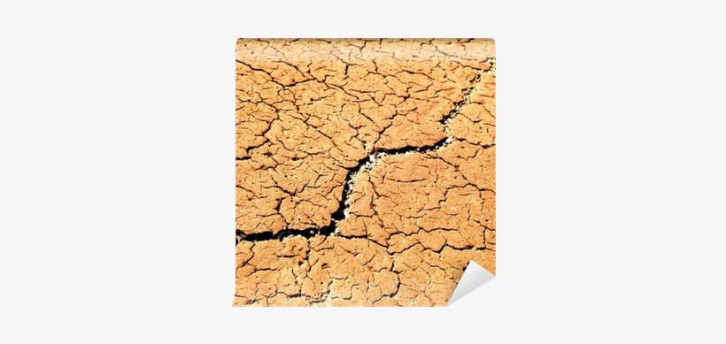 Soil, transparent png download
