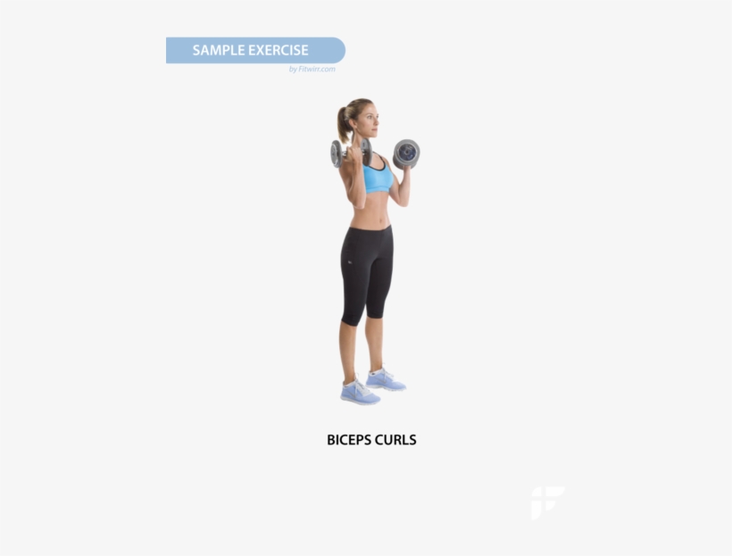 Dumbbell Exercise Workout Poster - Skinny Arm Workout With Weights, transparent png download