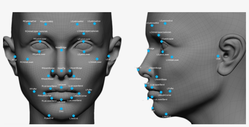 By Simon Davies - Face Recognition, transparent png download