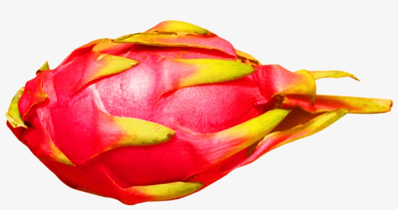 Free Png Dragon Fruit Png Images Transparent - Dragon Fruit Image Transparent, transparent png download