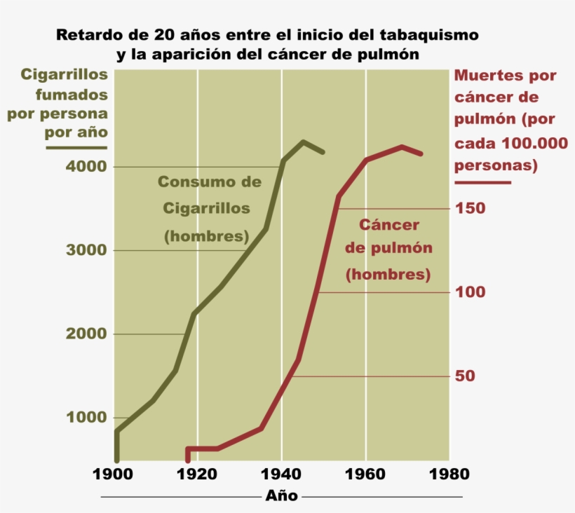 Lung Cancer From Smoking, transparent png download