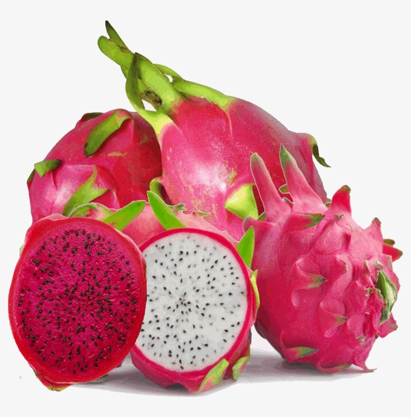 Dragon Fruit Pictures - Dragon Fruit Girl Png, transparent png download