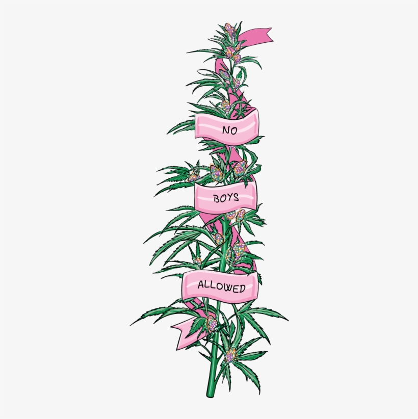 ॐ Dibujos Cool, Tatuajes, Ilustraciones, Sudaderas, - Boys Allowed Weed, transparent png download
