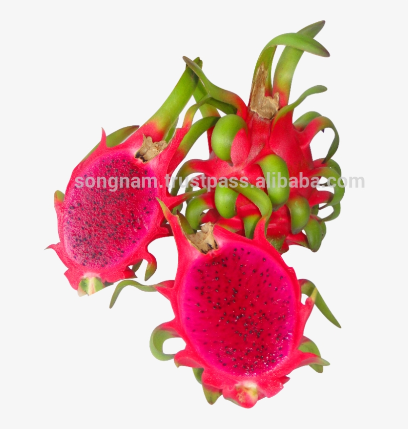 Song Nam Red Flesh Dragon Fruit From Vietnam - Pitaya, transparent png download