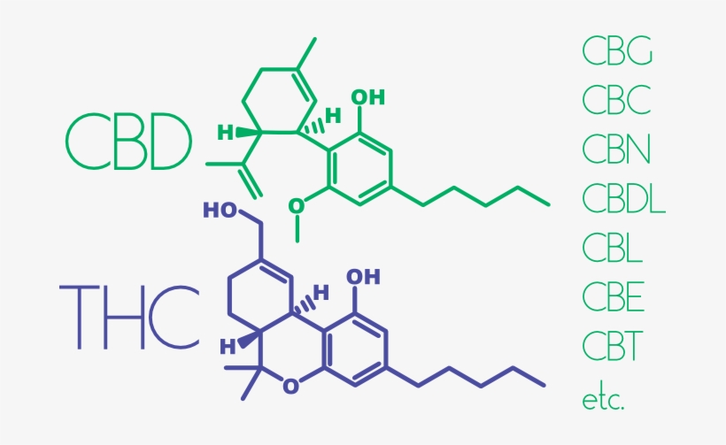 Cannabis Consciente - Thc, transparent png download