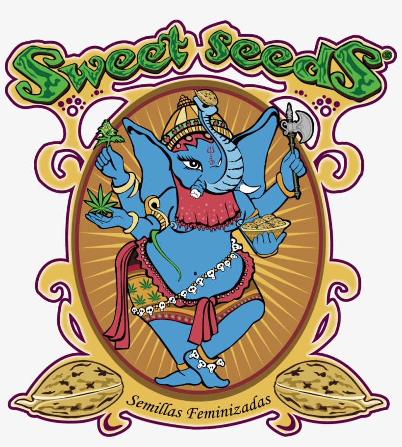 Tienda De Semillas De Marihuana Dr - Sweet Seeds, transparent png download