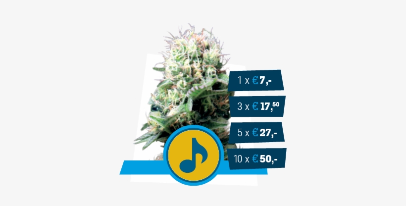 Stress Killer - Dance, transparent png download