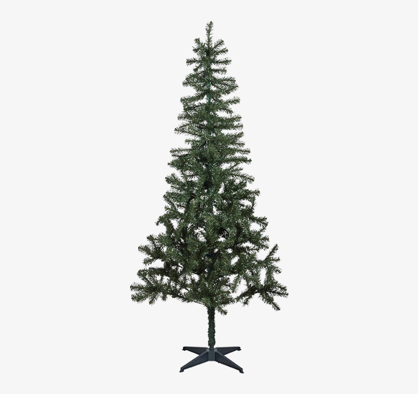Green Holiday Tree - Holiday Tree, transparent png download