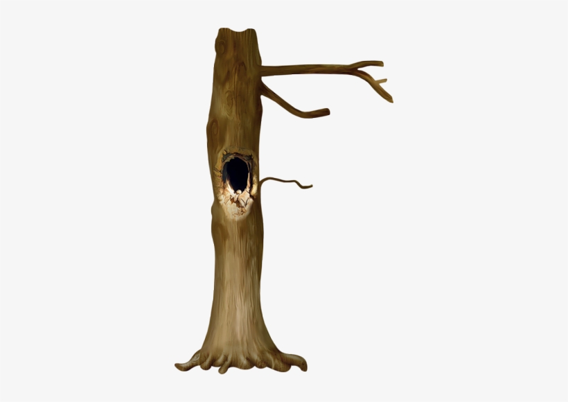 Photo From Album "nld An Eternal Story" On Yandex - Tree With A Hole Png, transparent png download