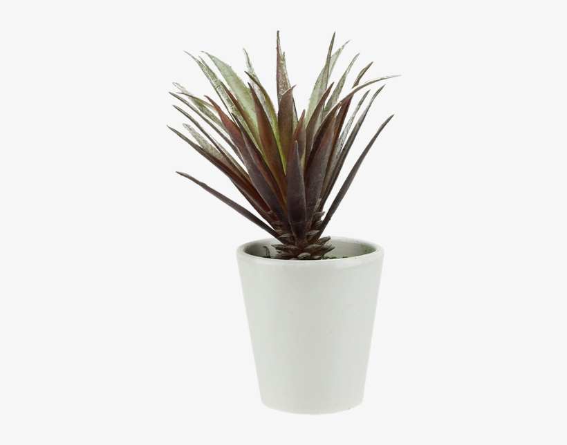 Northlight Artificial Aloe Succulent Desk Top Plant, transparent png download