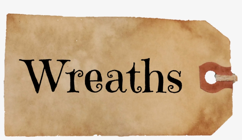 Satellite City Fennah Fanfiction, transparent png download