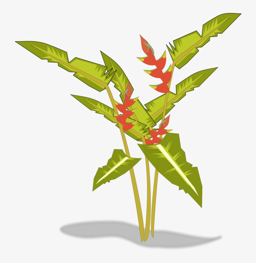 Free To Use Public Domain Plants Clip Art - Tropical Plant Transparent Clipart, transparent png download