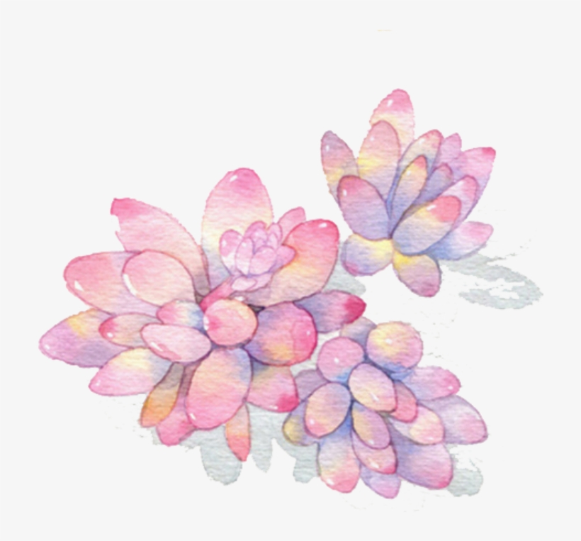 Ftestickers Watercolor Plants Succulents - Missyou Floral Diary Stickers One Size, transparent png download