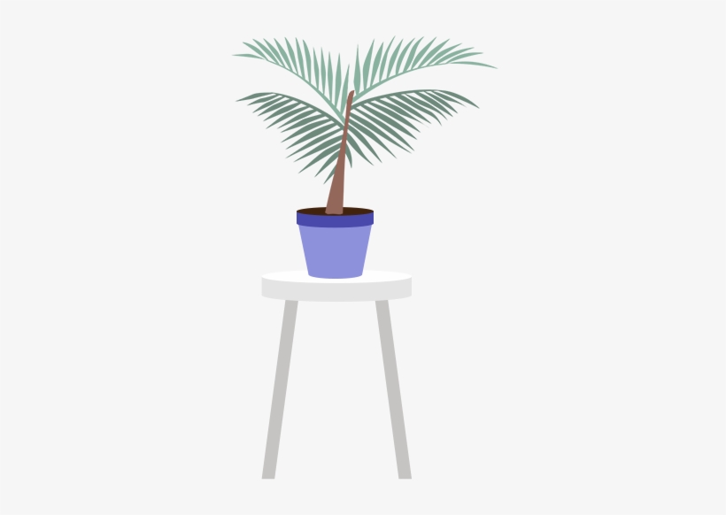 Reasons - - Houseplant, transparent png download
