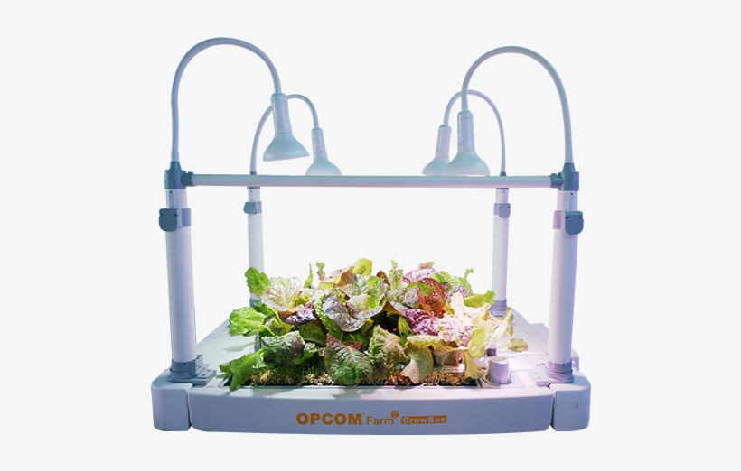 Big Scale Indoors Hydroponics, transparent png download