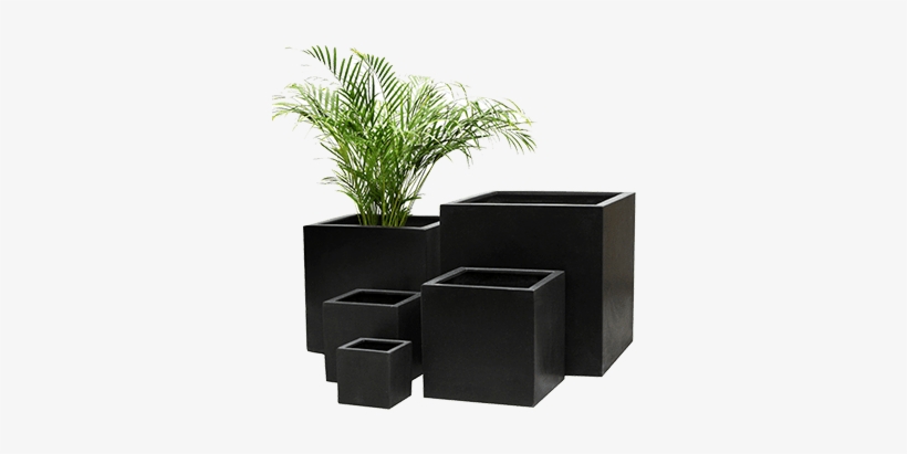 Decorative Containers - Interior Plantscapes, transparent png download