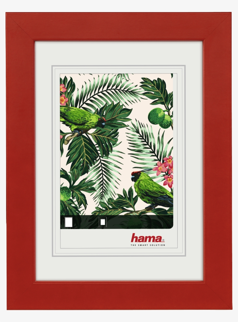 "tropical" Wooden Frame, Red, 10 X 15 Cm - Hama Holzrahmen, transparent png download