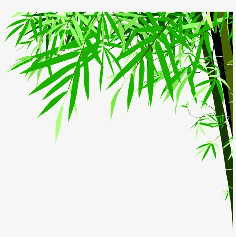 Green Bamboo High Definition Beauty Png - Illustrator Bamboo Vector Png, transparent png download