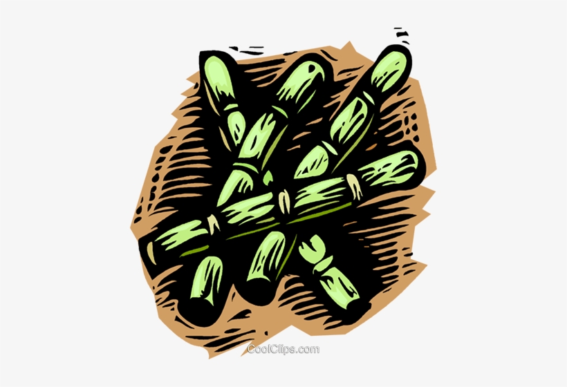 Bamboo, Woodcut Style Royalty Free Vector Clip Art, transparent png download