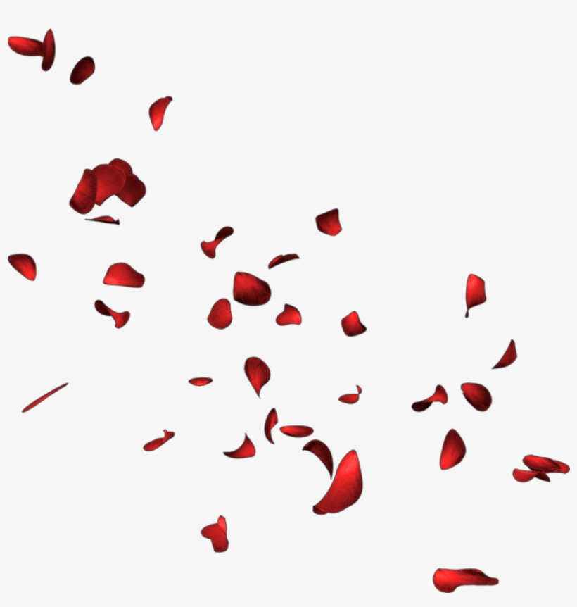 Petals Petalos Pétalos Pétalo Petalo Petal Rose Rosa - Petalos De Rosa Png, transparent png download