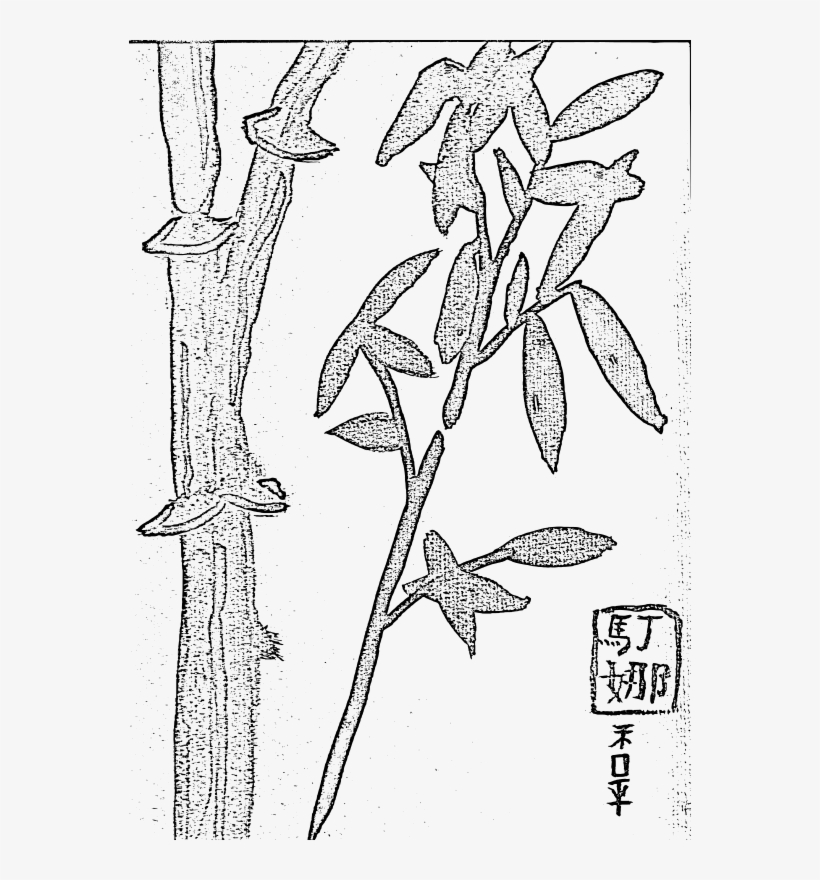Sketch, transparent png download