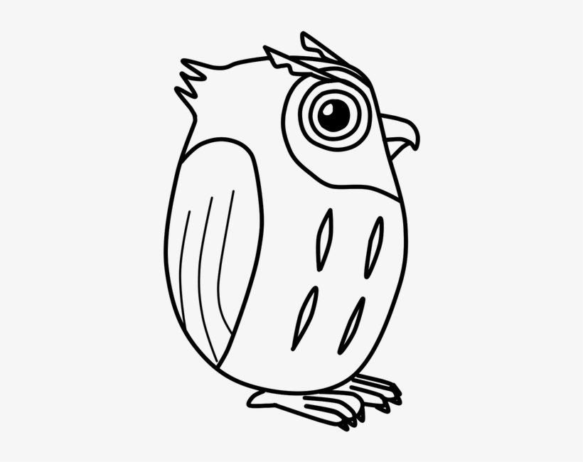 Owl, Vector, Cute, Bird - Owl, transparent png download