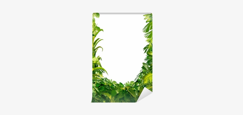 Plantes Tropicales, transparent png download