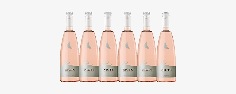 Nictepetalos - Avelino Vegas Nicte Pétalos De Rosa 2015, transparent png download