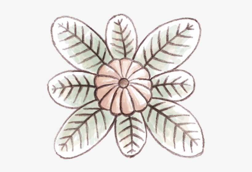 Flores De Ocho Pétalos - Flor Con Ocho Petalos, transparent png download