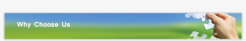 Delight!: Read Model To Design Remarkable Services, transparent png download