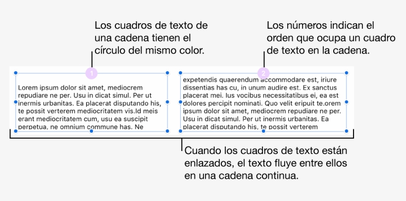 Dos Cuadros De Texto Con Círculos De Color Lila En - Violet, transparent png download