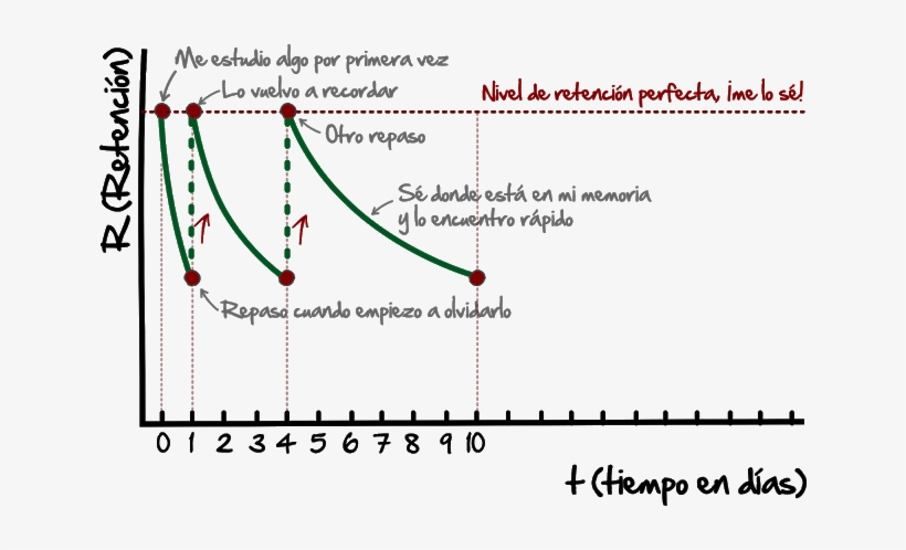 Me Toca Hacer Otro Repaso, Quizá Pasados 2-3 Días Para - Plot, transparent png download