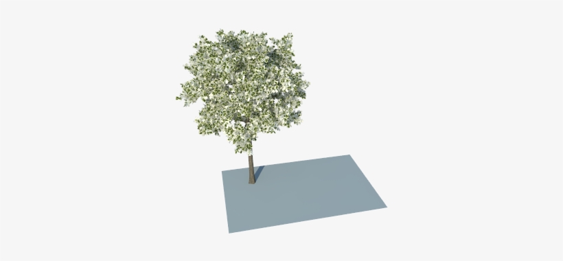 I Have Problem With Leaves Using Trees From Skatter - Plane, transparent png download