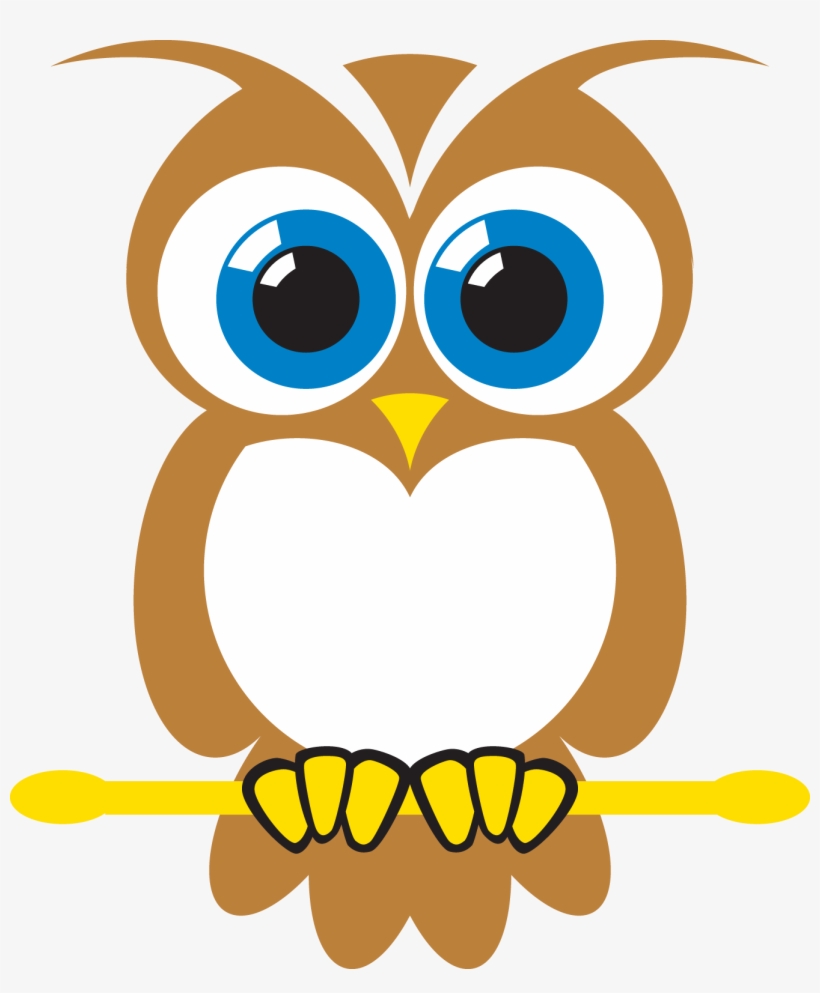 Why Choose Us What's - Owl, transparent png download