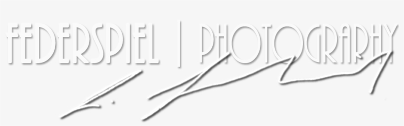Livio Federspiel - Cable, transparent png download
