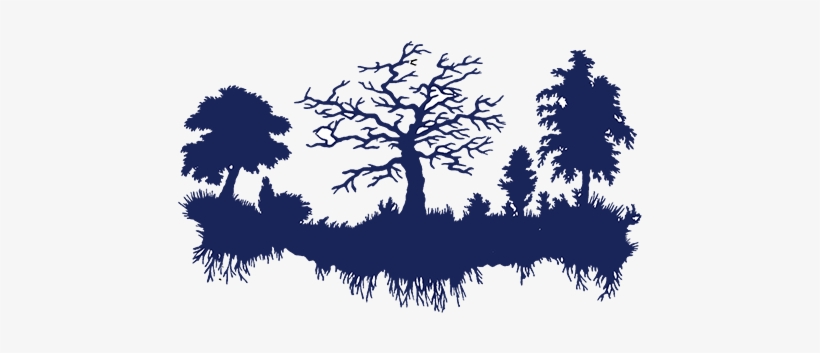 Finally, Conclude Your Explanation By Asking Everyone - Stickalz Llc Trees Roots Wall Decal Forest Landscape, transparent png download