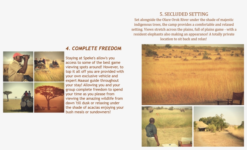 45 - Field, transparent png download