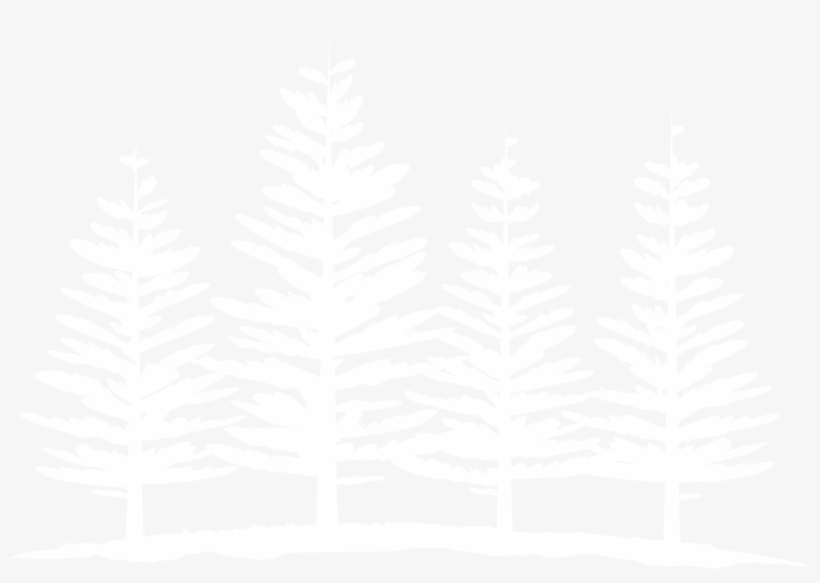 In Addition To Our Core Space Beer Team, We've Assembled - 4 Pines Trees, transparent png download