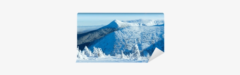 Winter Mountain Panorama With Snowy Trees Wall Mural - Sea, transparent png download