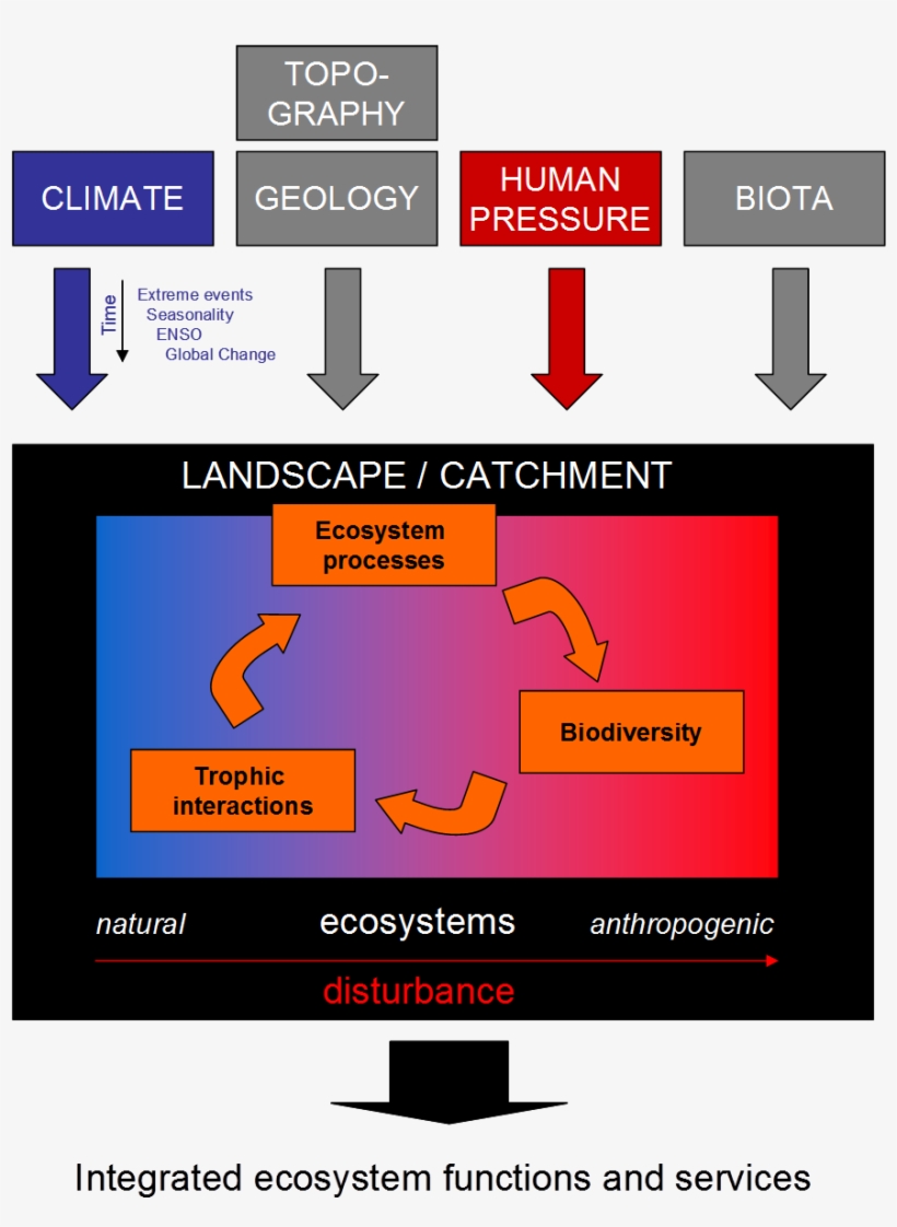 This - Climate Change, transparent png download