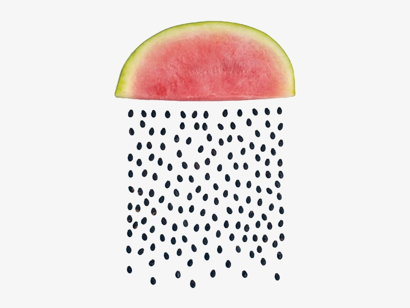 Art, Rain, Seed, Watermelon - Watermelon Seed Art, transparent png download