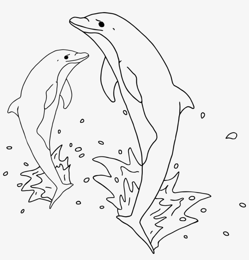 Jumping Dolphins Outline - Dolphin, transparent png download