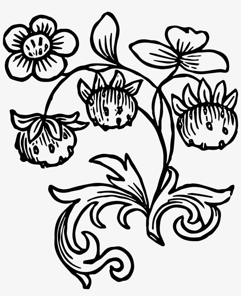 Jpeg Download - Black White Strawberry Plant Png, transparent png download