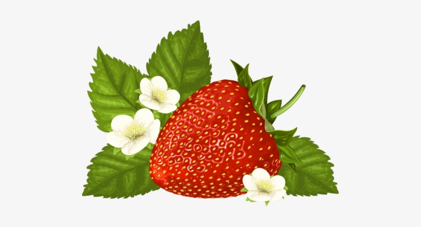 Blog De L'ile De Kahlan - Strawberry - Fraise - Skull Manches Longues,t-shirt, transparent png download