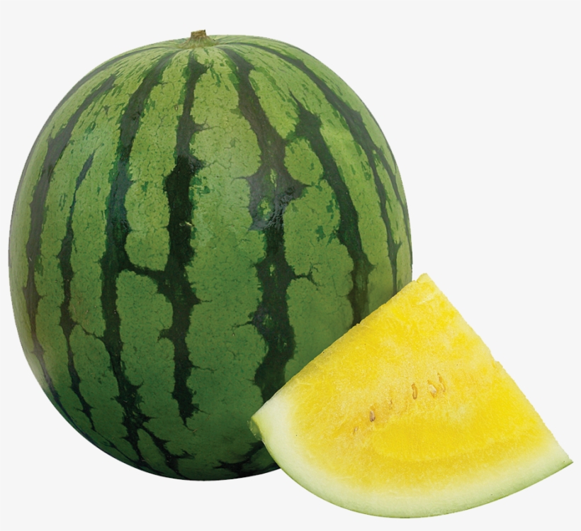 It Is Hollow In Cross-section, With A Relatively Thin - Watermelon, transparent png download