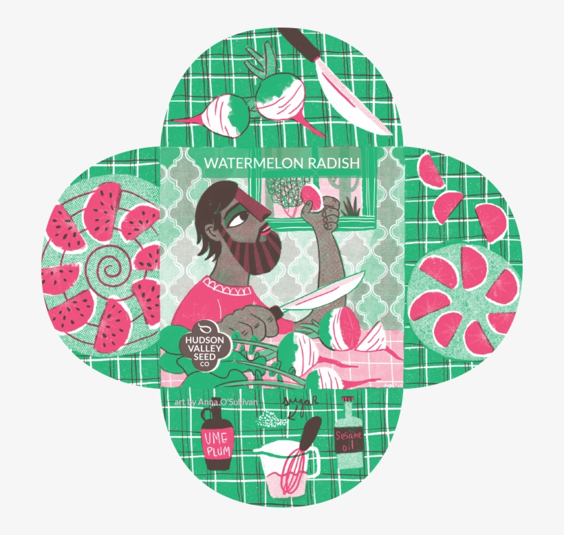 Organic Watermelon Radish Seeds - Illustration, transparent png download