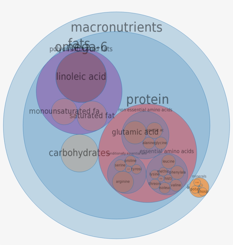 Seeds, Watermelon Seed Kernels, Dried -all Nutrients - Watermelon Macronutrients, transparent png download