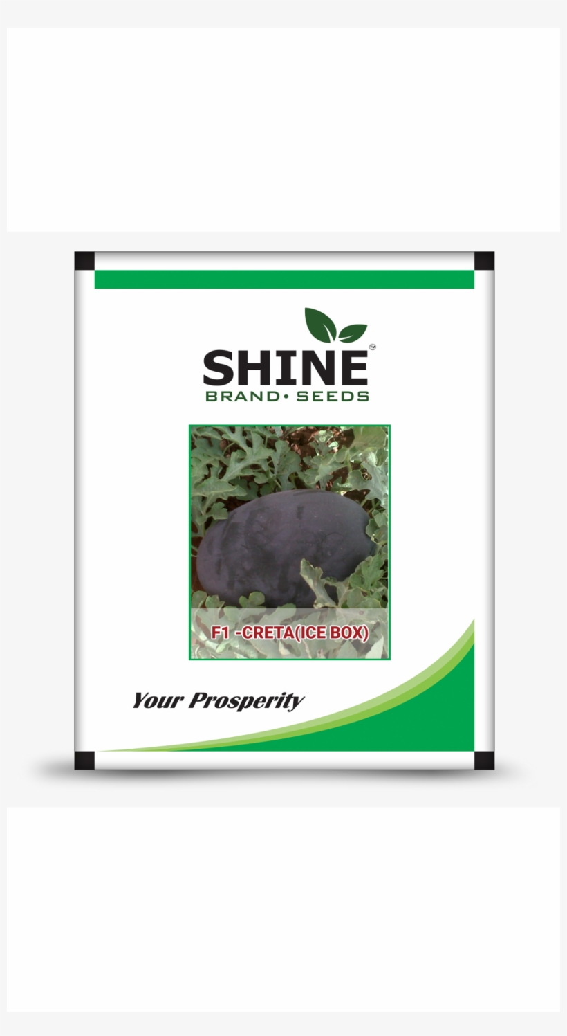 Hybrid Watermelon Seeds - Shine Brand Seeds, transparent png download