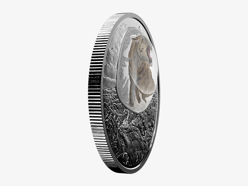 Pure Silver Coloured Coin Frozen In Ice - Silver, transparent png download