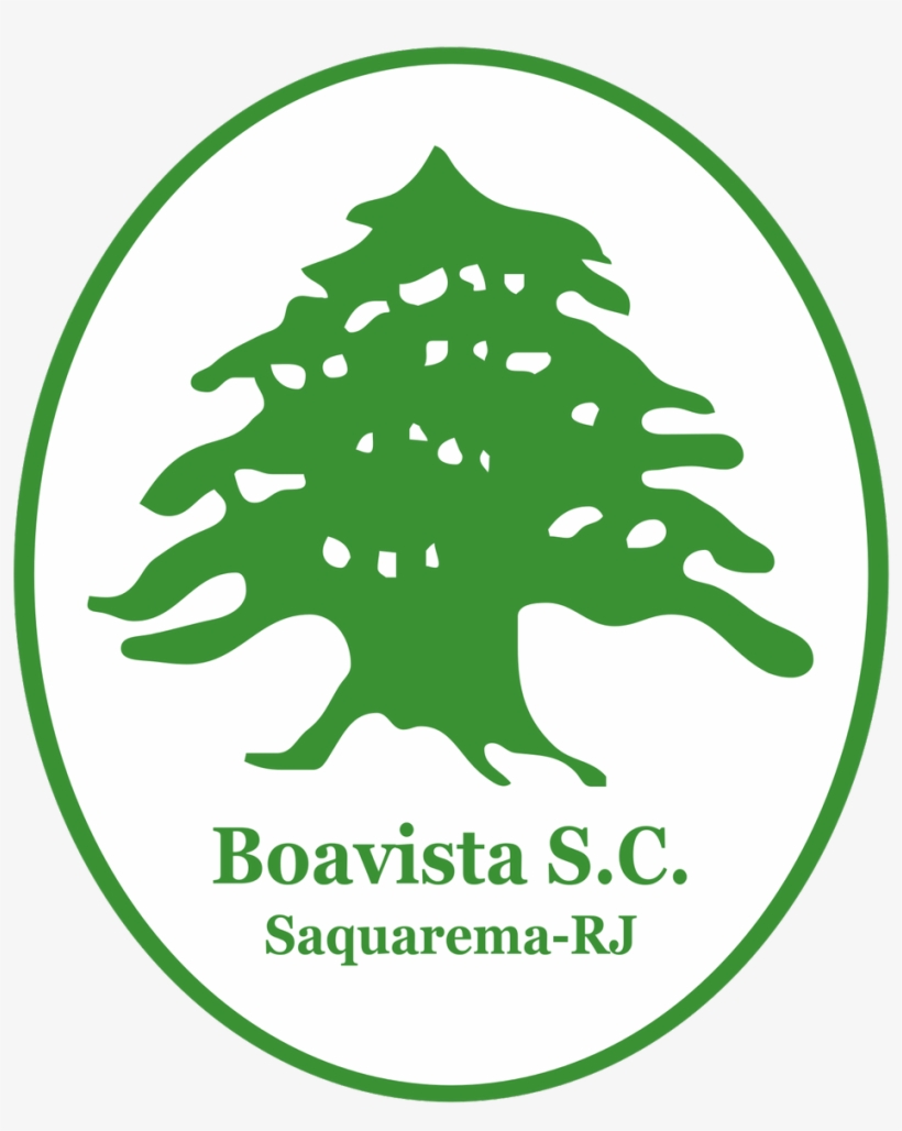 Roy Nemer On Twitter - Boavista Sport Club, transparent png download